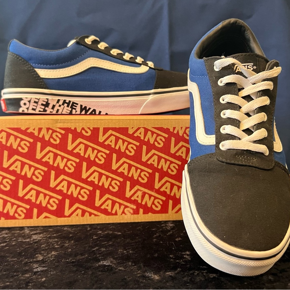 Vans Blue and Black Skate Sneakers with Signature Stripe